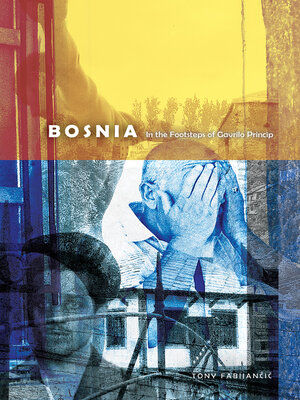 cover image of Bosnia